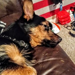 Meet your Posher, John